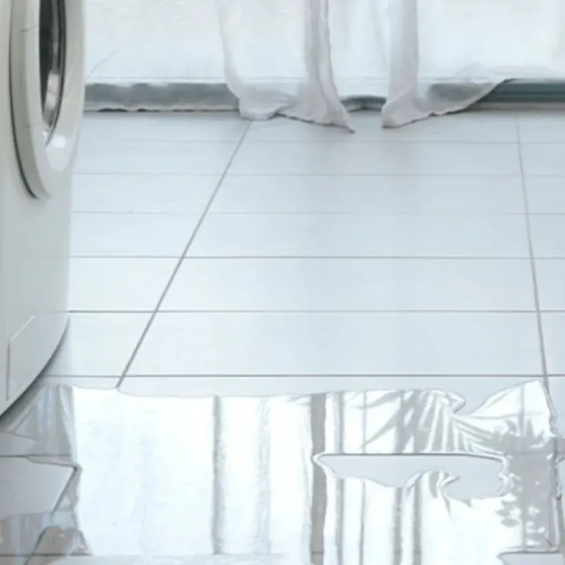 Appliance Leak Cleanup in Mukilteo, WA